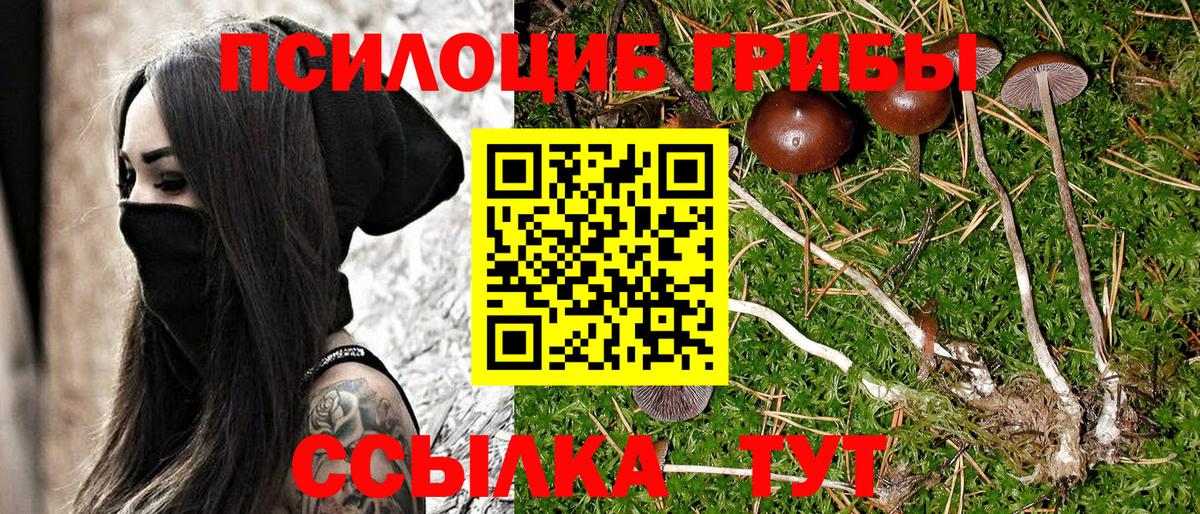 Лесосибирск  Галлюциногенные грибы ЛСД  Вход с VPN 
