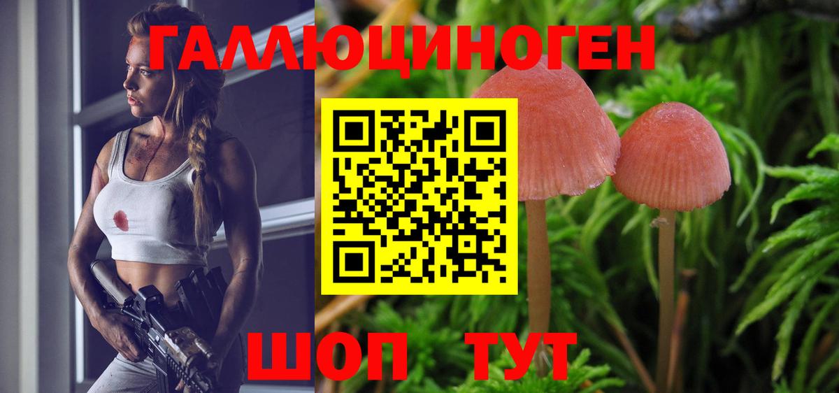 Псилоцибиновые грибы мухоморы Лесосибирск